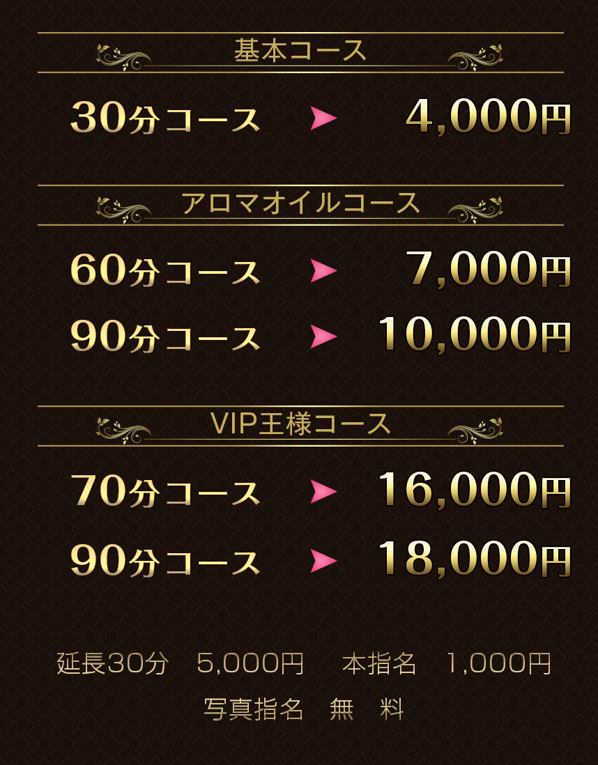 美人ランド 料金システム